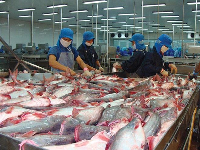  Hiện, có khoảng 10 doanh nghiệp xuất khẩu cá tra, basa của Việt Nam không bị áp thuế CBPG của Hoa Kỳ