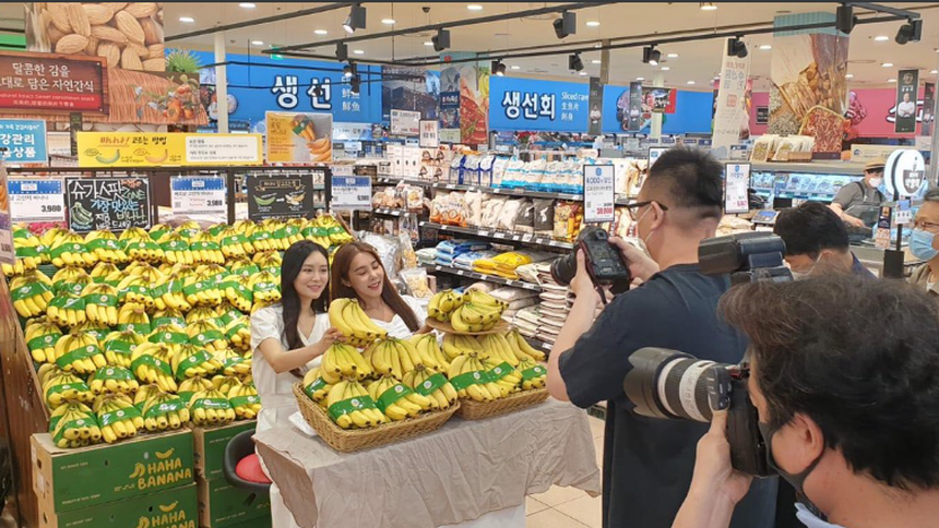 Chuối Lopang trồng tại Gia Lai được giới thiệu, phân phối tại Lotte Mart, Hàn Quốc