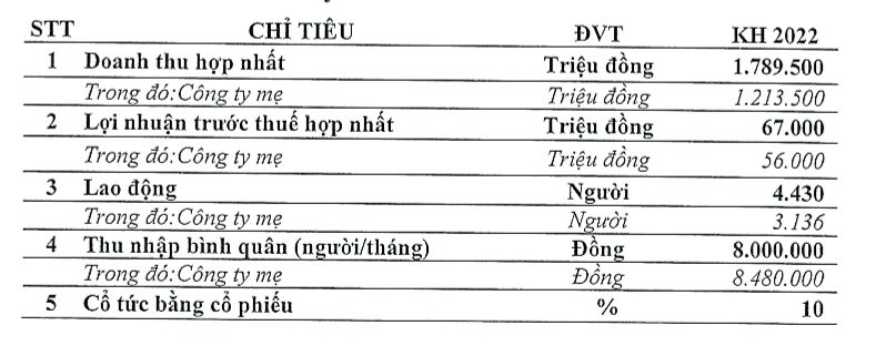 Kế hoạch kinh doanh năm 2022 của Hanosimex đxa