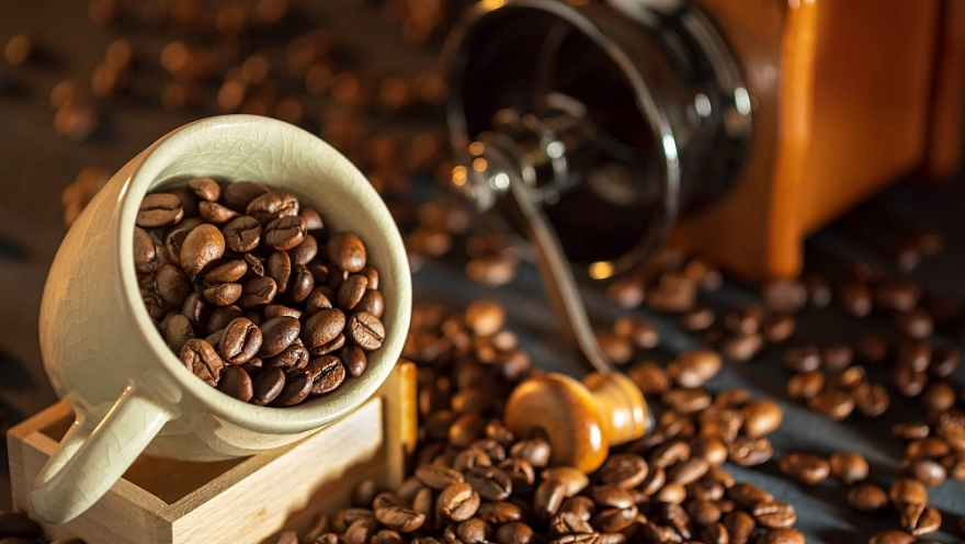 Cà phê Việt Nam được giá xuất khẩu, 8 tháng thu về hơn 2,8 tỷ USD