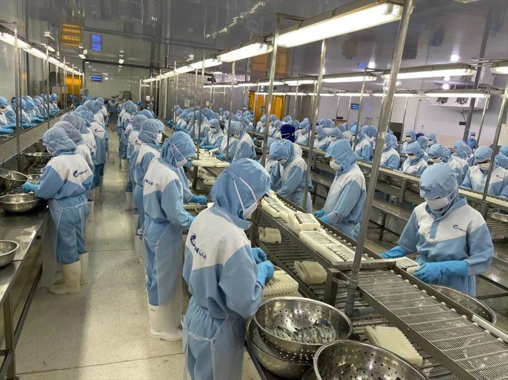 Các thị trường Mỹ, EU thắt chặt chi tiêu khiến xuất khẩu thủy sản sau 4 tháng mới đạt 2,6 tỷ USD, giảm 31% so với cùng kỳ.