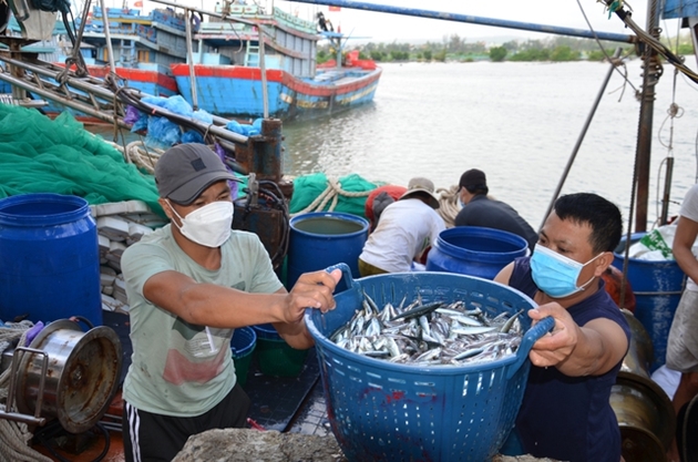 Ủy ban châu Âu sẽ kiểm tra về chống khai thác hải sản bất hợp pháp vào tháng 10