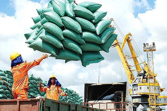 Tại Cần Thơ đang diễn ra bàn phương hướng điều hành xuất khẩu những tháng cuối năm..