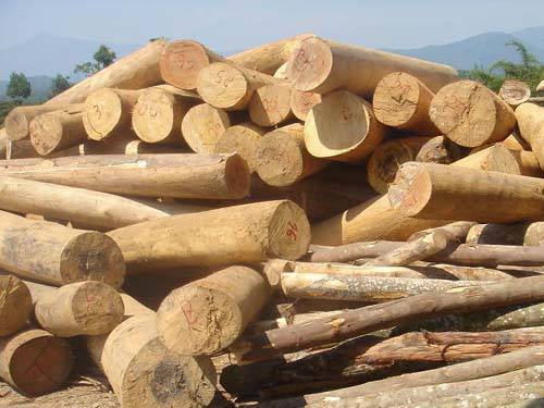 tạm ngừng hoạt động kinh doanh tạm nhập từ Lào và Campuchia để tái xuất sang nước thứ ba đối với gỗ tròn, gỗ xẻ từ rừng tự nhiên thuộc nhóm HS 44.03 và 44.07 