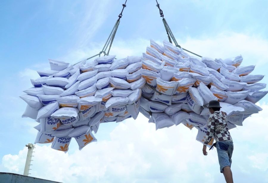 VCCI Kiến nghị bỏ loạt quy định cản trở doanh nghiệp xuất khẩu gạo.