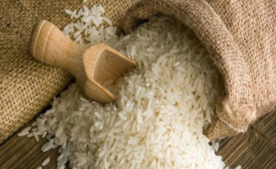 doanh nghiệp xuất khẩu gạo Việt Nam cần bình tĩnh truóc thông tin Philippines tạm ngừng nhập khẩu gạo trong 60 ngày.