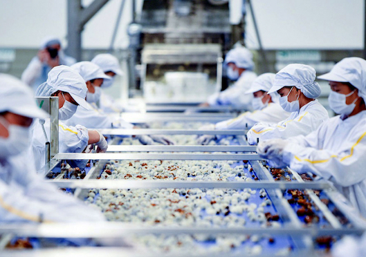 Thủ tướng giao nhiệm vụ cho các Bộ ngành loạt giải pháp nhằm đưa xuất khẩu nông, lâm, thủy sản bền vững.