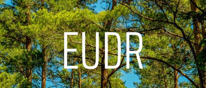 Ủy ban châu Âu đề xuất hoãn áp dụng Quy định chống phá rừng lần 2