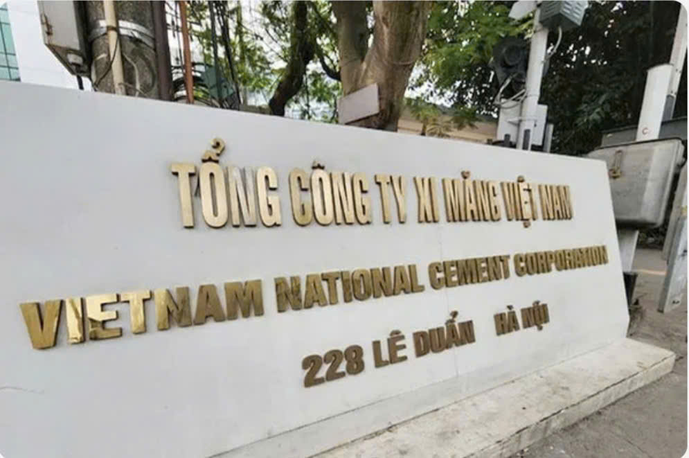 Vicem bán cổ phần tại các công ty con và công ty liên kết.