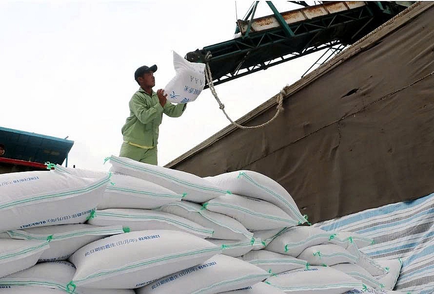 Bộ Công thương dự tính hạn ngạch nhập khẩu gạo mỗi năm là 300.000 tấn