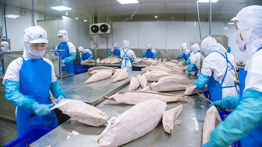 Thủy sản, gỗ và sản phẩm gỗ, điện tử, rau quả, giày dép… là những ngành hàng có khả năng tăng tốc xuất khẩu sang Israel 