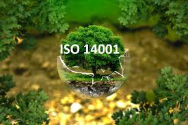 Theo WB, trong hơn 20.000 tiêu chuẩn mà ISO ban hành suốt bảy thập kỷ qua, hơn một nửa được xây dựng từ năm 2000 đến nay.