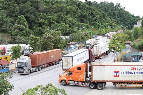 Trong 02 ng&agrave;y 31/01 v&agrave; 01/02/2026, hoạt động xuất nhập khẩu h&agrave;ng h&oacute;a qua c&aacute;c cửa khẩu tr&ecirc;n địa b&agrave;n tỉnh Lạng Sơn diễn ra ổn định, th&ocirc;ng suốt,