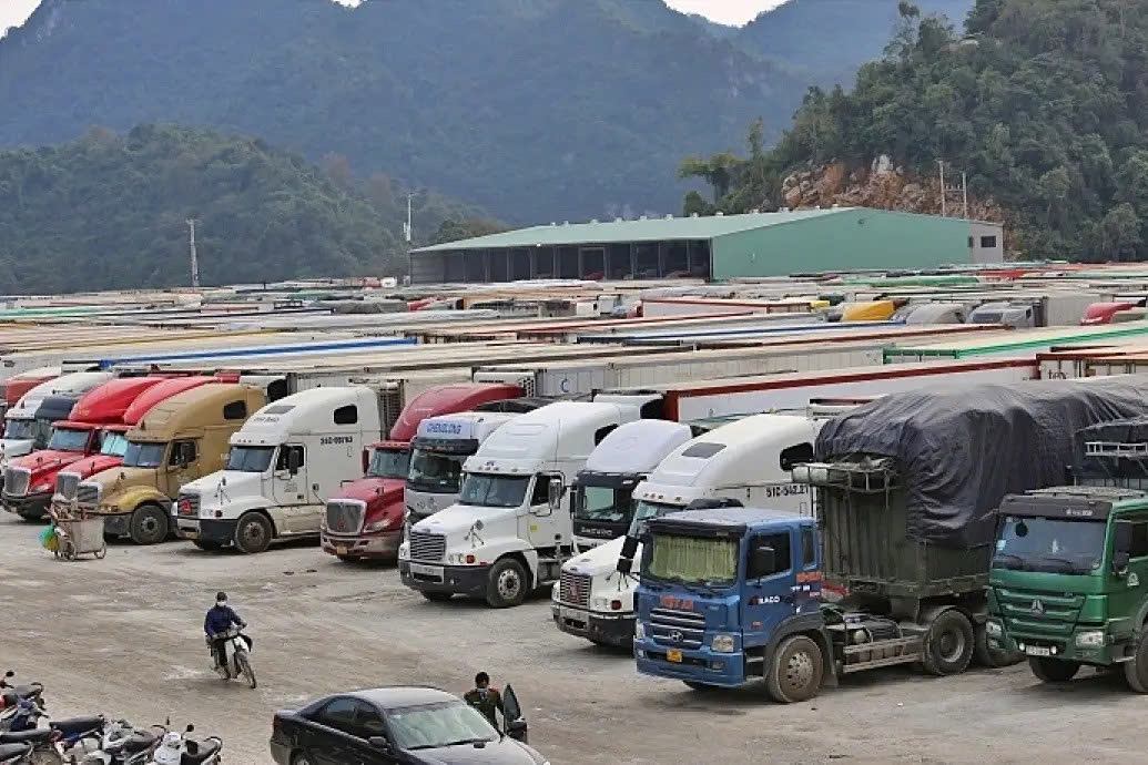 Bộ C&ocirc;ng thương hướng dẫn kiểm tra  nh&agrave; nước về an to&agrave;n ực phẩm nhập khẩu.