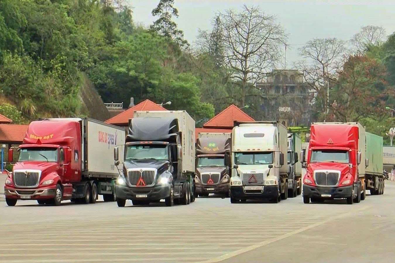 Cấp b&aacute;ch c&oacute; hướng dẫn việc kiểm tra thực phẩm nhập khẩu, bảo đảm khả thi, th&ocirc;ng quan kịp thời, th&ocirc;ng suốt, tuyệt đối kh&ocirc;ng để &aacute;ch tắc