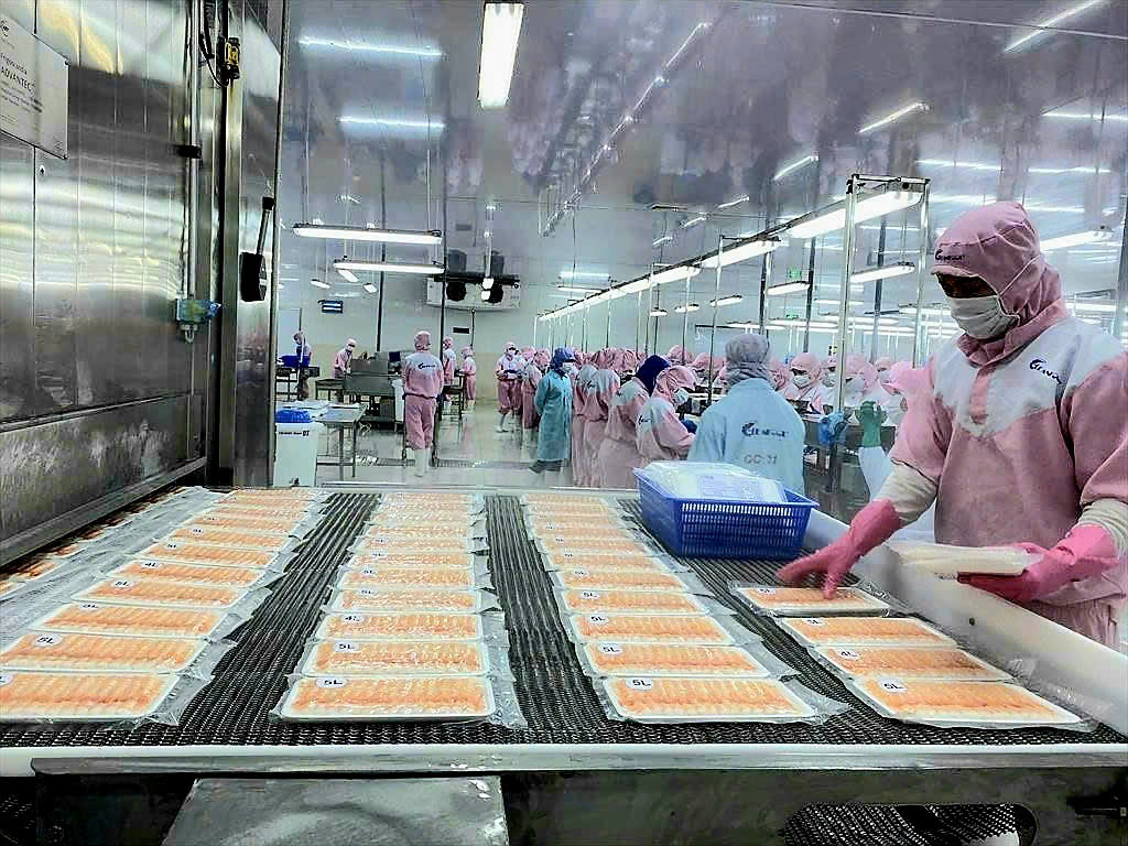 doanh nghiệp xuất khẩu thực phẩm phải khai đ&uacute;ng m&atilde; số