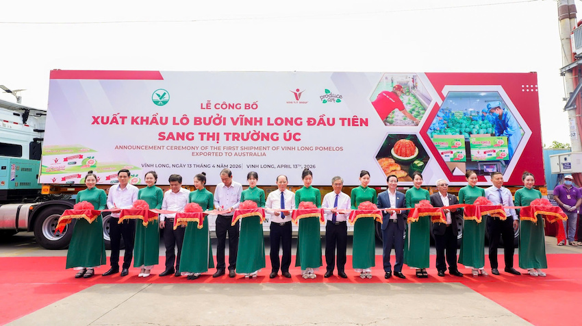 Lễ c&ocirc;ng bố l&ocirc; bưởi đầu ti&ecirc;n xuất sang Australia, s&aacute;ng 13/4.