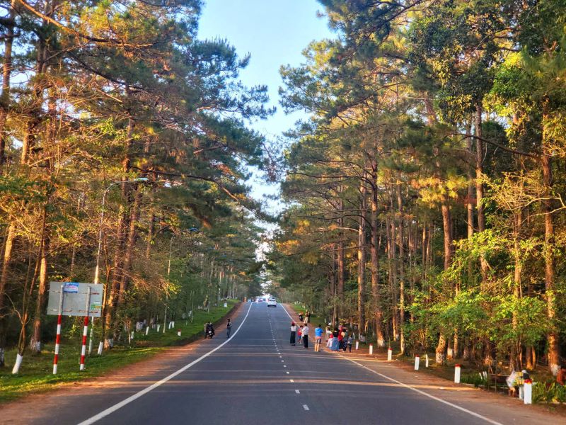 C&ugrave;ng với thu h&uacute;t đầu tư, thu h&uacute;t du kh&aacute;ch đến với đảo L&yacute; Sơn, Quảng Ng&atilde;i thực hiện ph&aacute;t triển du lịch Măng Đen th&agrave;nh sản phẩm đặc trưng của địa phương nhờ kh&iacute; hậu m&aacute;t mẻ như 