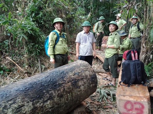Ông Lê Trí Thanh (giữa) trong một lần đi kiểm tra hiện trường rừng bị tàn phá ở huyện Đông Giang.