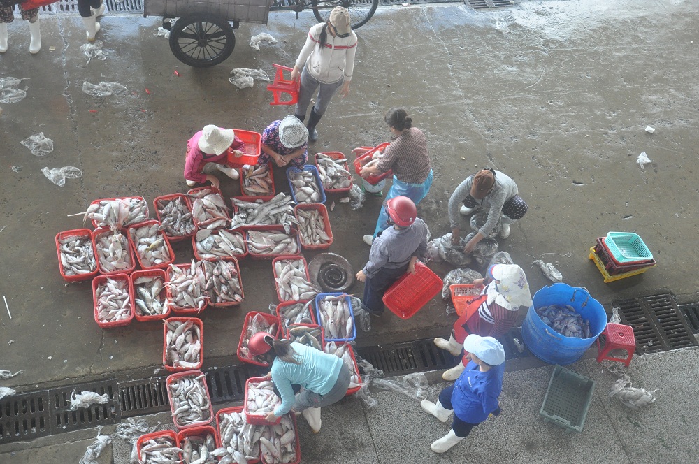 Người dân mua bán hải sản tại Cảng cá Thọ Quang TP. Đà Nẵng.
