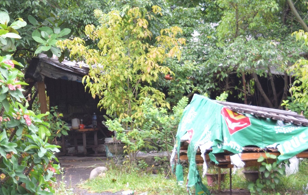 Những ngôi nhà được dựng trái phép trên đất rừng tại khu vực phường Hòa Hiệp Bắc (quận Liên Chiểu, TP. Đà Nẵng) khiến Dự án mở rộng hầm Hải Vân chưa thể thi công.