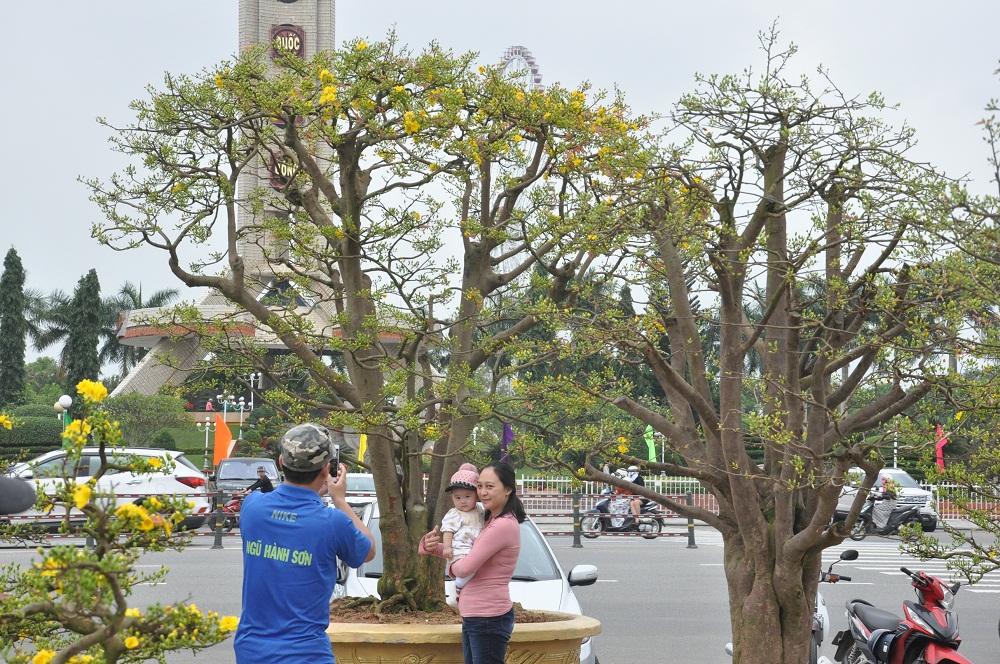 Người dân chụp hình lưu niệm với cây mai được định giá 3 tỷ đồng.