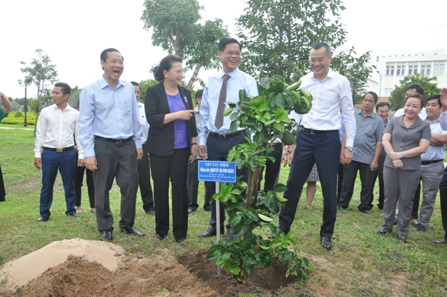 Chủ tịch Quốc hội Nguyễn Thị Kim Ngân cùng lãnh đạo tỉnh Phú Yên trồng cây lưu niệm.