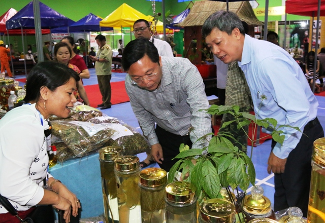 Ông Lê Trí Thanh - Phó Chủ tịch UBND tỉnh Quảng Nam trong lần kiểm tra sản phẩm sâm Ngọc Linh tại huyện Nam Trà My.