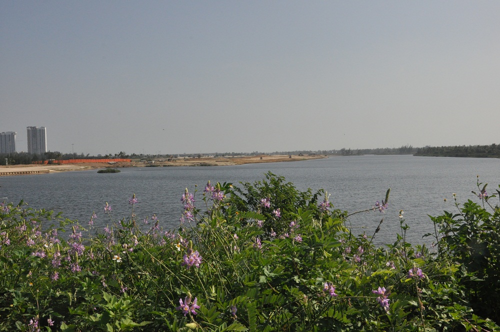 Sông Cổ Cò đoạn qua địa phận TP. Đà Nẵng.