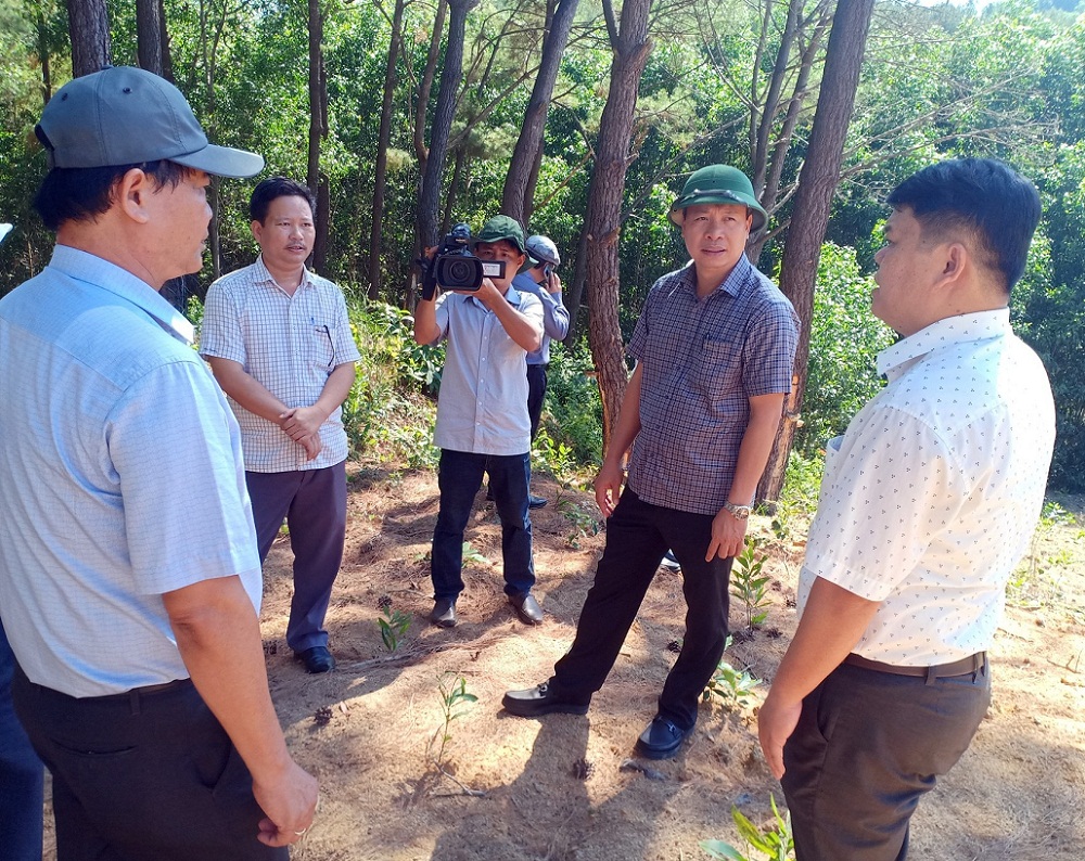 Phó chủ tịch UBND tỉnh Quang Nam, kiểm tra thực tế các Dự án trọng điểm tại huyện Núi Thành.