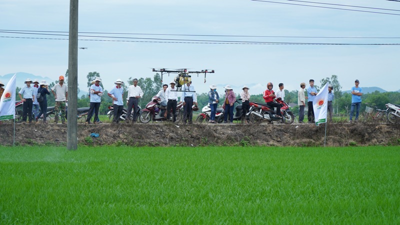Tập đoàn Lộc Trời triển khai thiết bị không người lái chăm sóc lúa ở Quảng Nam.