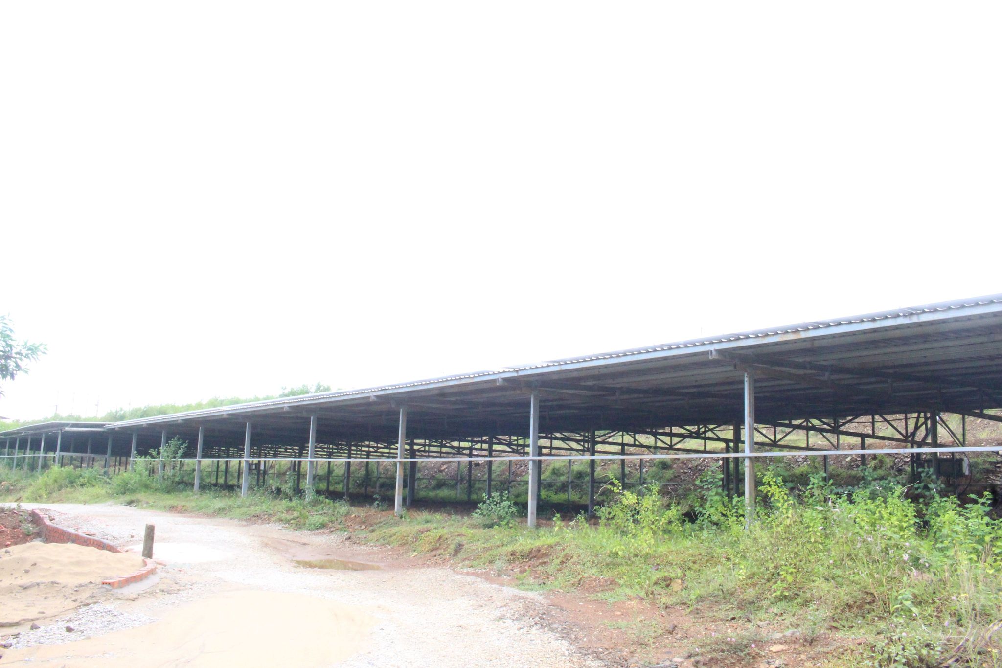 Dự án điện mặt trời nằm trên đất trang trại tại xã Tam Xuân 1.