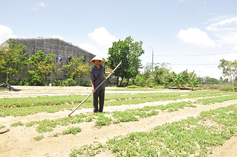 Dự án Khu đô thị số 11 liên quan đến Công ty Chí Thành vẫn chưa hoàn thành. Ảnh: Hoàng Anh