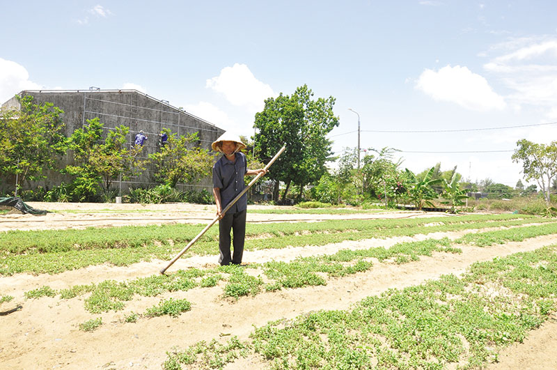 Công ty TNHH Chí Thành được giao làm chủ đầu tư Khu đô thị số 11 có diện tích 12,98 ha và Khu đô thị số 6 có diện tích 26,78 ha, thuộc Khu đô thị mới Điện Nam - Điện Ngọc. 