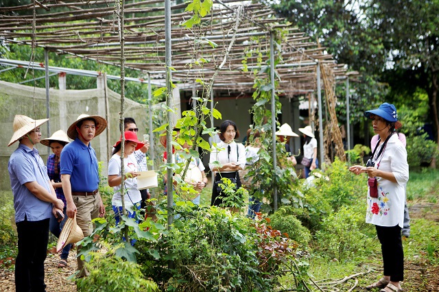 Ninh Bình đẩy mạnh du lịch nông nghiệp nông thôn  Đài Phát Thanh và  Truyền Hình Lạng Sơn