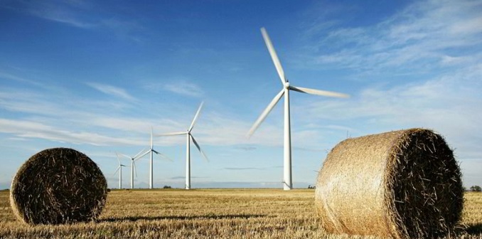 Một trang trại điện gió ở phía Đông Nam nước Anh. Ảnh: AFP