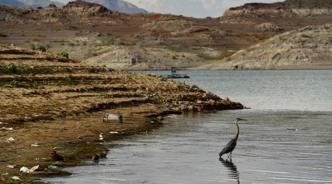 Lake Mead - một trong những hồ lớn nhất ở Mỹ - đang có mức nước thấp kỷ lục. Ảnh: AFP