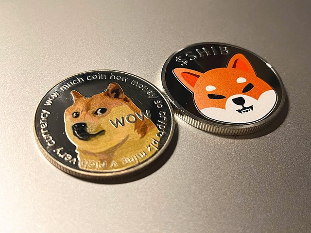 Dogecoin, đồng meme coin đầu tiên và hiện có giá trị lớn thứ sáu thế giới theo vốn hóa thị trường, đã tăng 3% sau động thái xác định thân phận meme coin của SEC. Ảnh: AFP