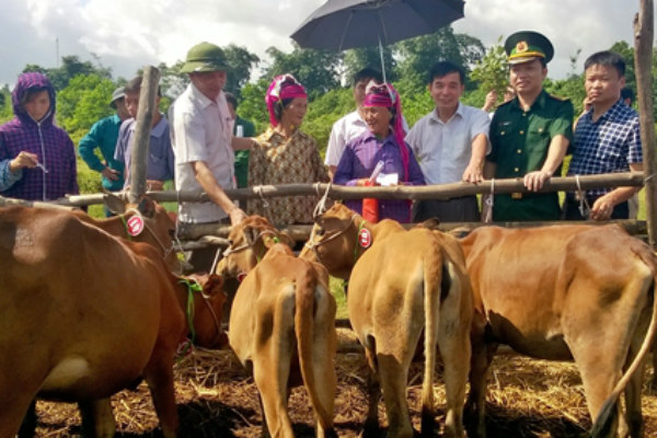 Viettel đã trao gần 21.000 con bò giống cho đồng bào nghèo biên giới.