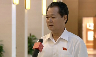 Đại biểu Trương Minh Hoàng: