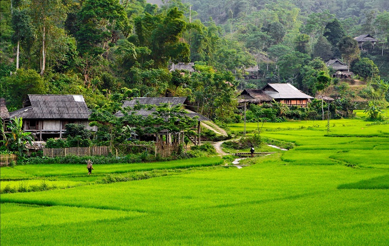 Vân Hồ là địa điểm du lịch được du khách yêu thích.