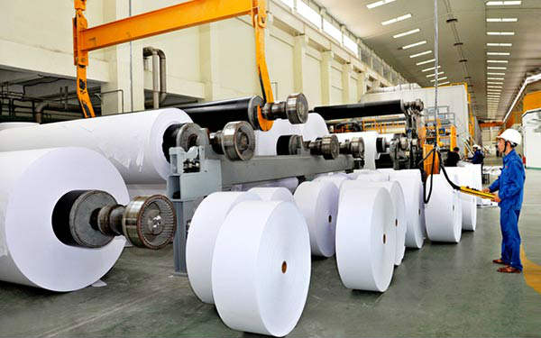 Theo thống kê, 70% sản lượng giấy của Việt Nam sản xuất từ nguyên liệu là giấy phế liệu