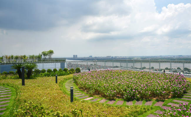 Vườn chân mây view 360 độ sông Hồng đã hoàn thiện trên tầng mái tòa D.