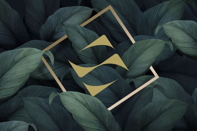 Ba yếu tố Nghệ thuật - Di sản - Phong cách sống được thể hiện trong logo mới của SonKim Land