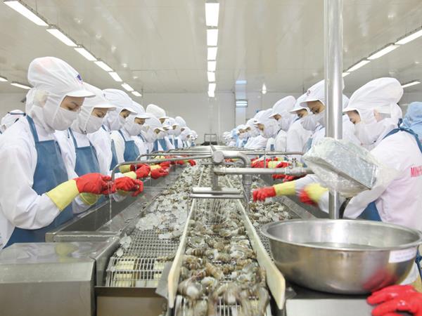 Dự án của Minh Phú sẽ giúp tạo ra thêm ít nhất 20.000 việc làm trong các ngành công nghiệp chế biến, sản xuất thức ăn... 