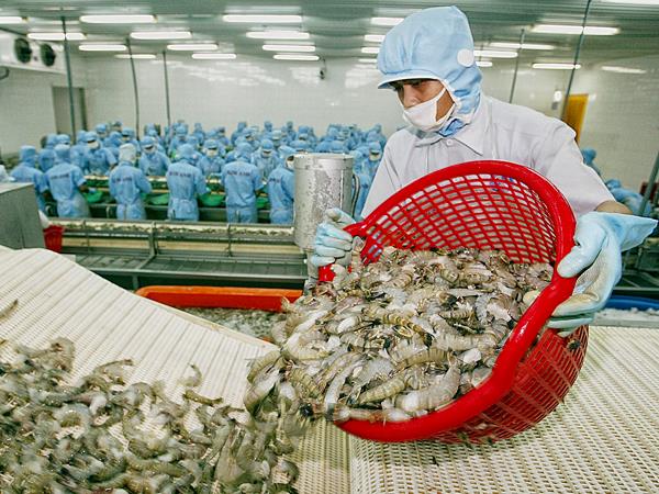 Công ty cổ phần Thủy hải sản Việt Nhật (VNH) tuy hoạt động bết bát nhưng vẫn cho vay “ân tình” tới 15,22 tỷ đồng
