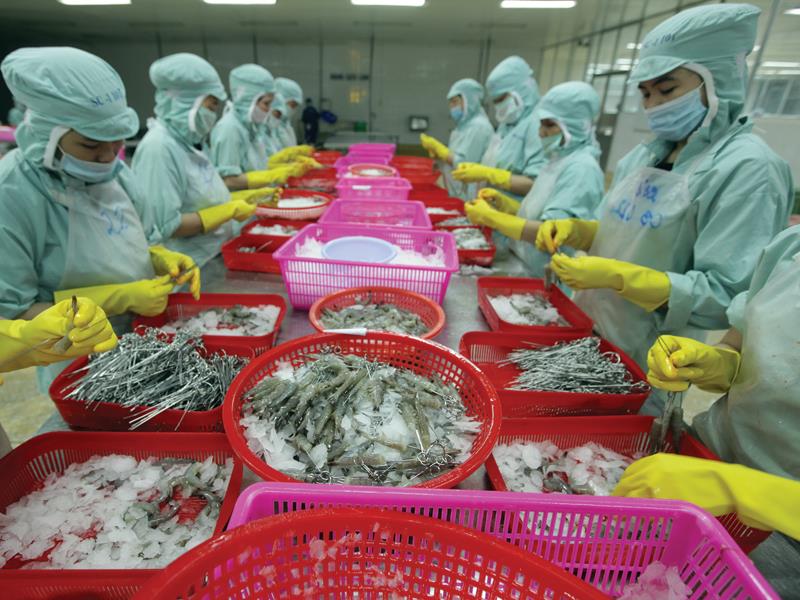 Kim ngạch xuất khẩu của Việt Nam đang bị ảnh hưởng bởi các mặt hàng thủy sản đang giảm sút cả về lượng và giá. Ảnh: Đức Thanh