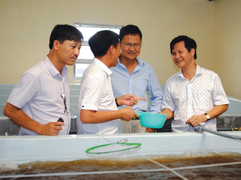 Công ty Nam Miền Trung có năng lực sản xuất đến 12 tỷ con tôm giống/năm