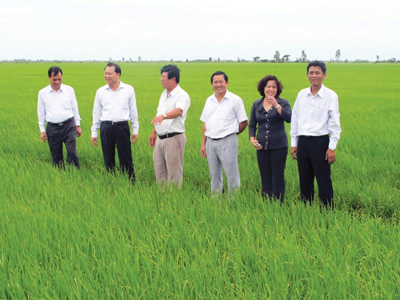 Phó thủ tướng Chính phủ Vũ Văn Ninh (thứ hai từ trái sang) thăm cánh đồng mẫu ở huyện Trần Đề (Sóc Trăng)