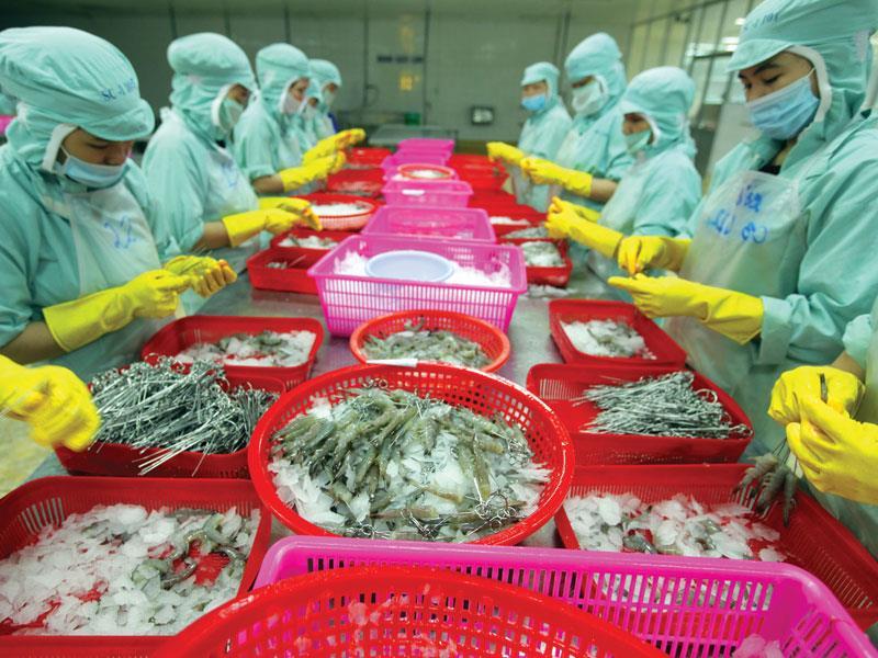 Thủy sản xuất khẩu của Việt Nam sẽ dành lại vị thế nhờ uy tín với thị trường và sự hài lòng của người tiêu dùng